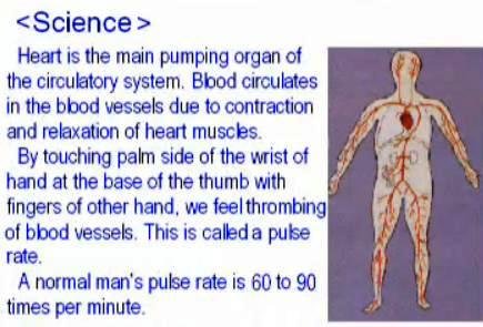 Pulse Counter 